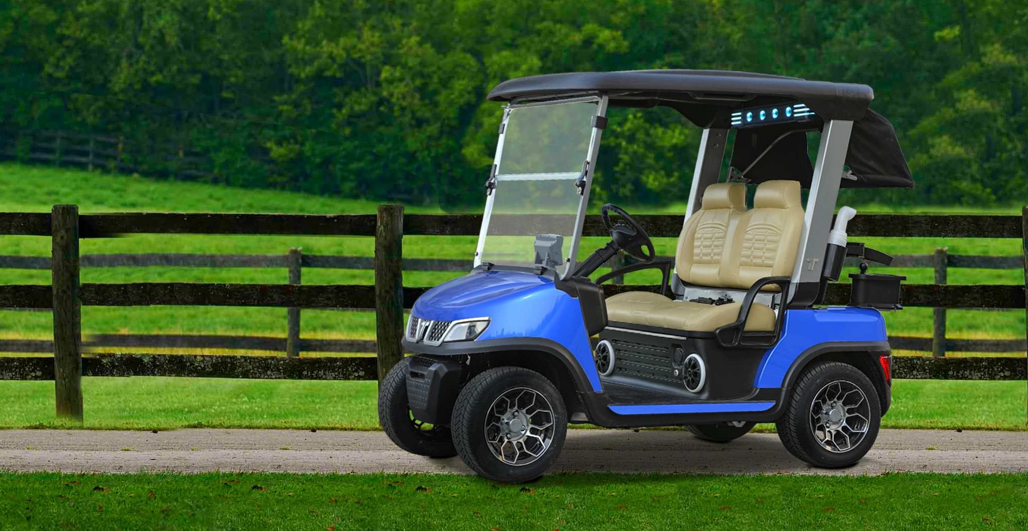 tara-buggie-car-golf-course