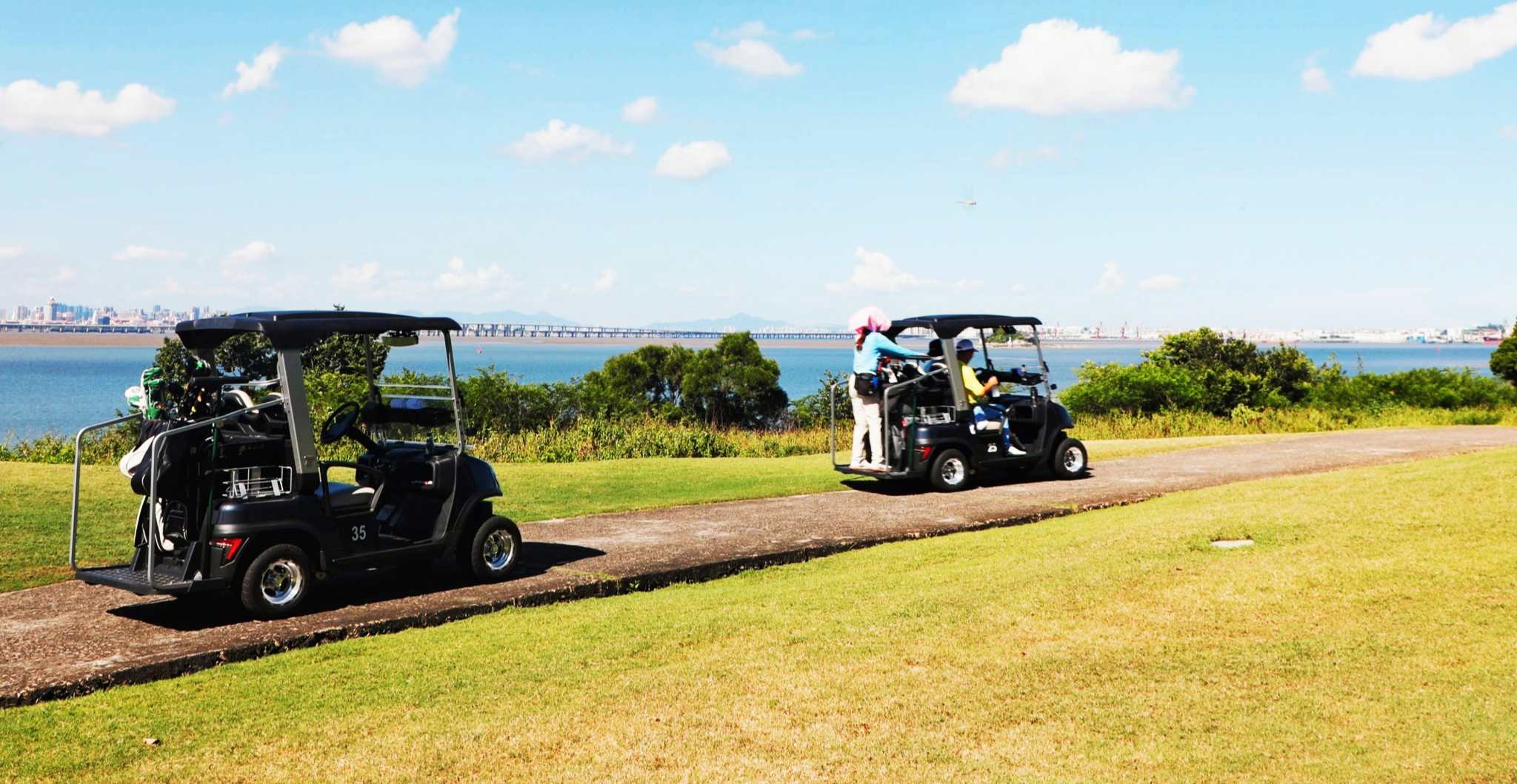 tara-electric-golf-cart