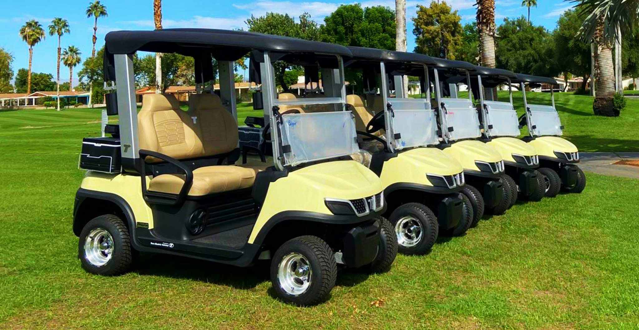 tara-golf-fleet