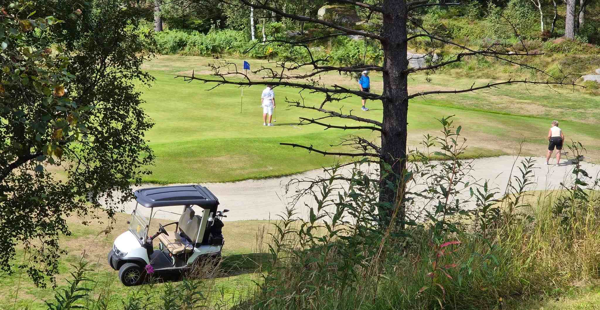 tara-spirit-plus-golf-cart-players-utsikten