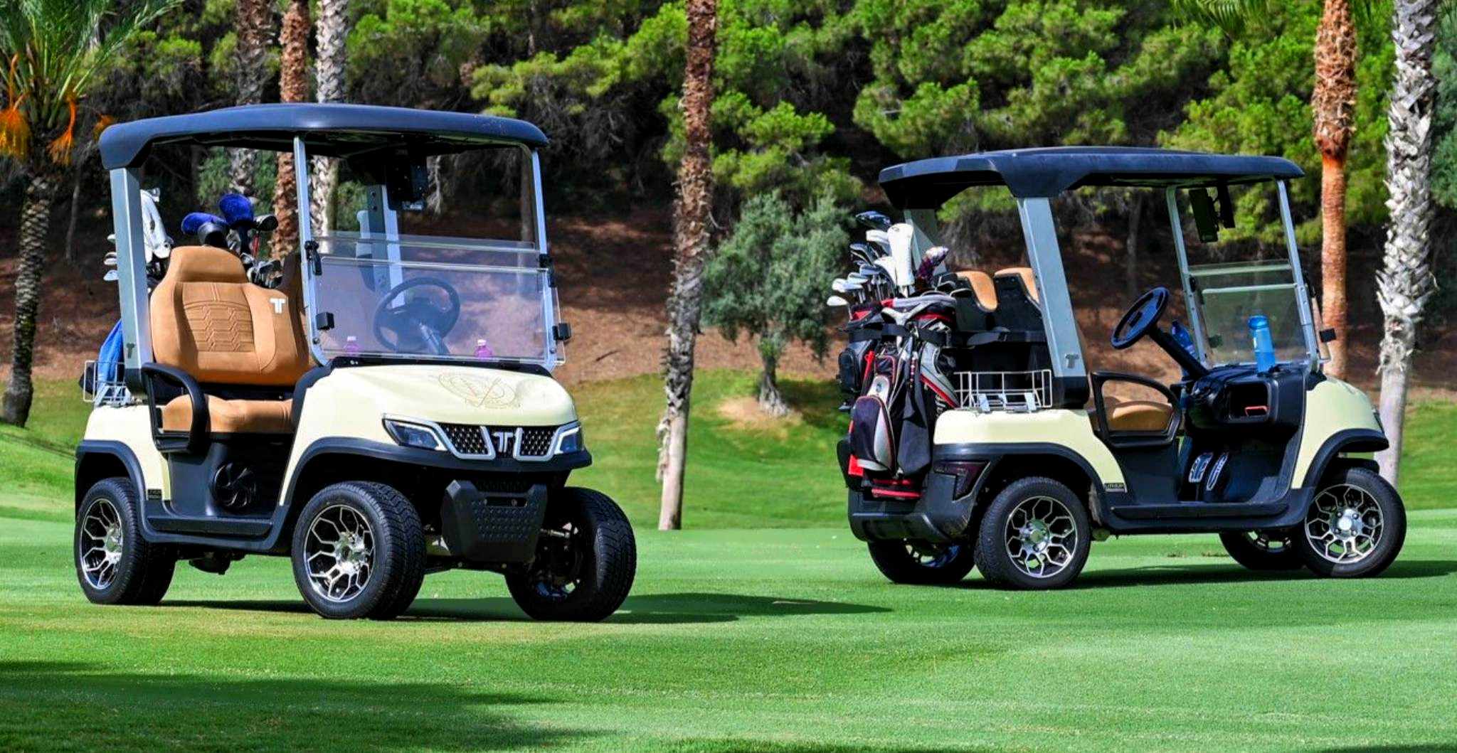two-person-golf-cart