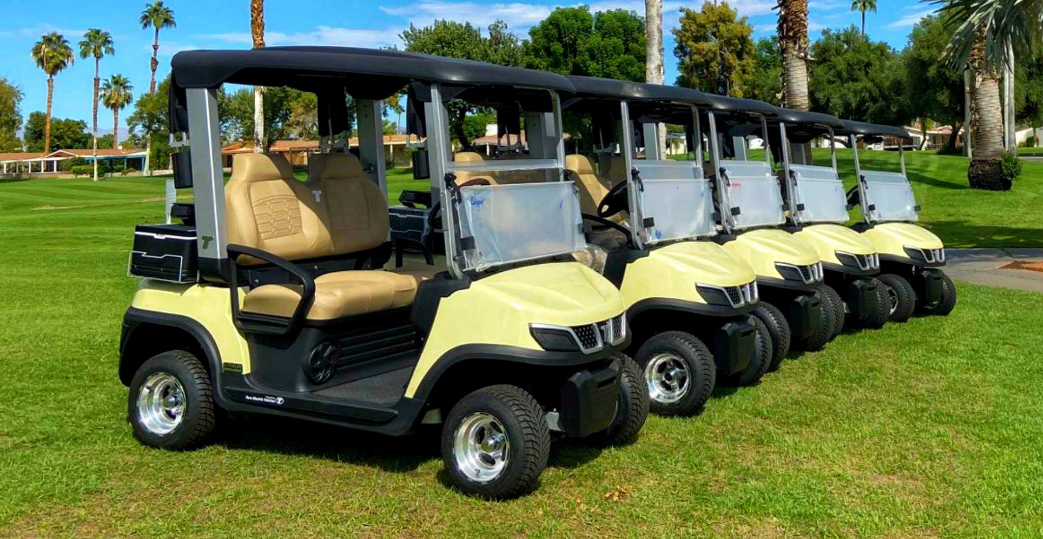 two-seater-golf-carts