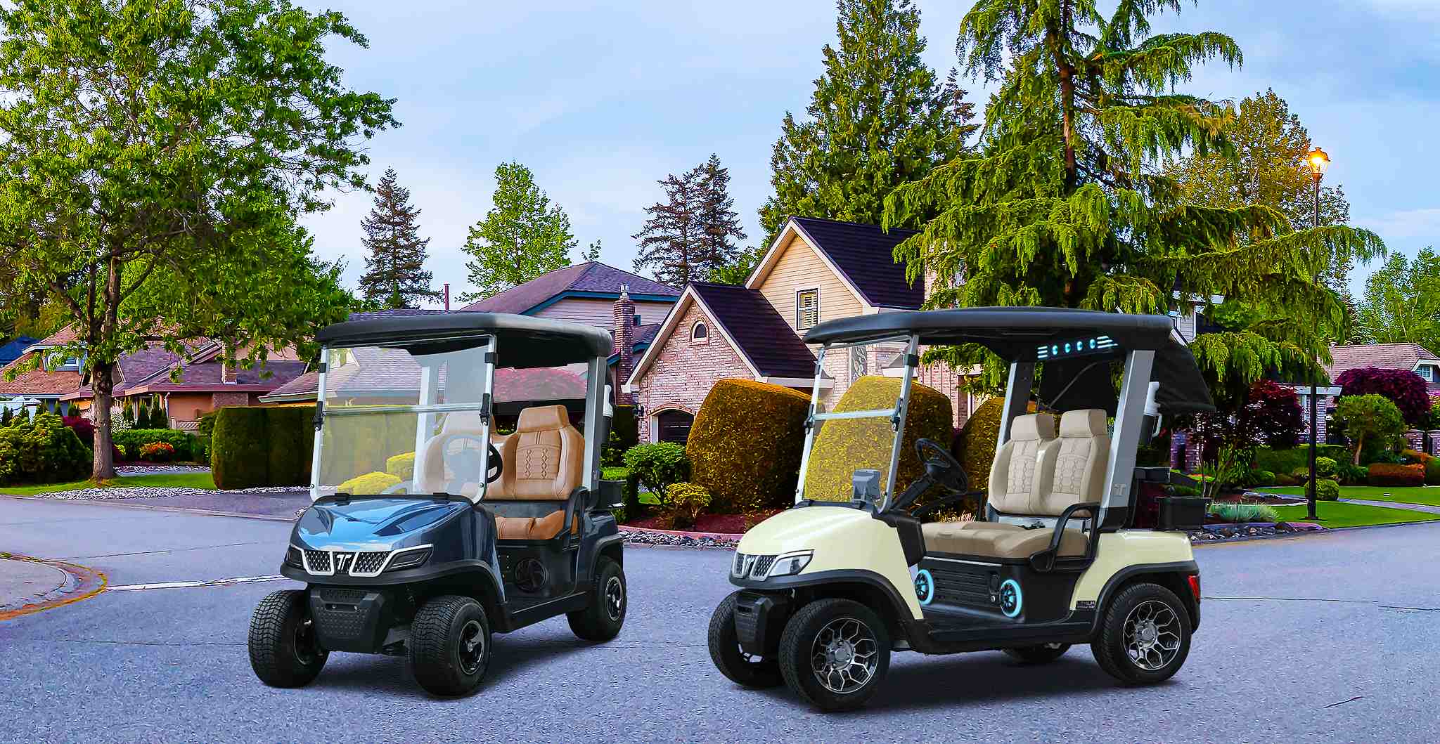 types-of-golf-carts